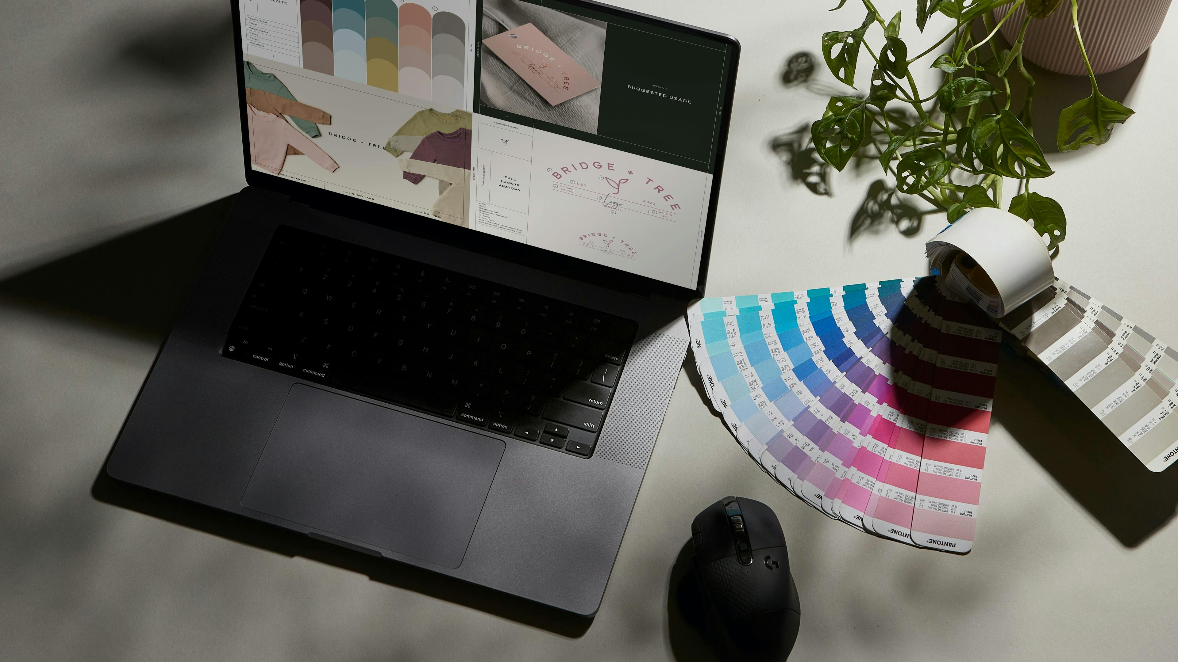 An overhead shot of a desk is shown with a laptop and a plant. A color swatch and branding materials are also visible on the desk, suggesting an identity design project in progress.